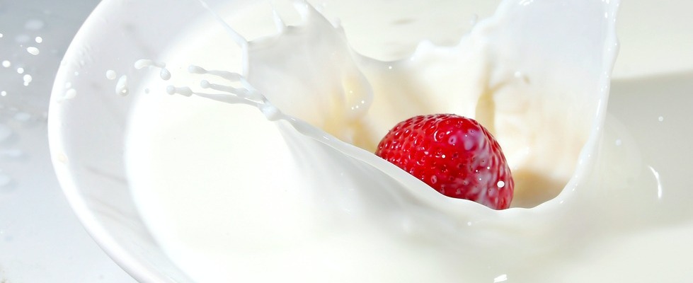 Differenza tra kefir e yogurt: la battaglia dei probiotici