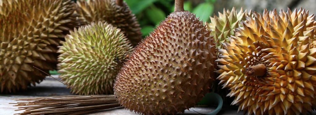 Durian, il frutto più puzzolente del mondo