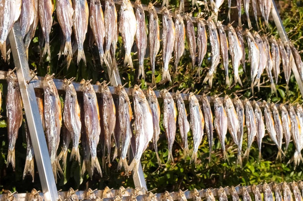 Pesce tipico del lago di Como: le varietà più famose che dobbiamo conoscere