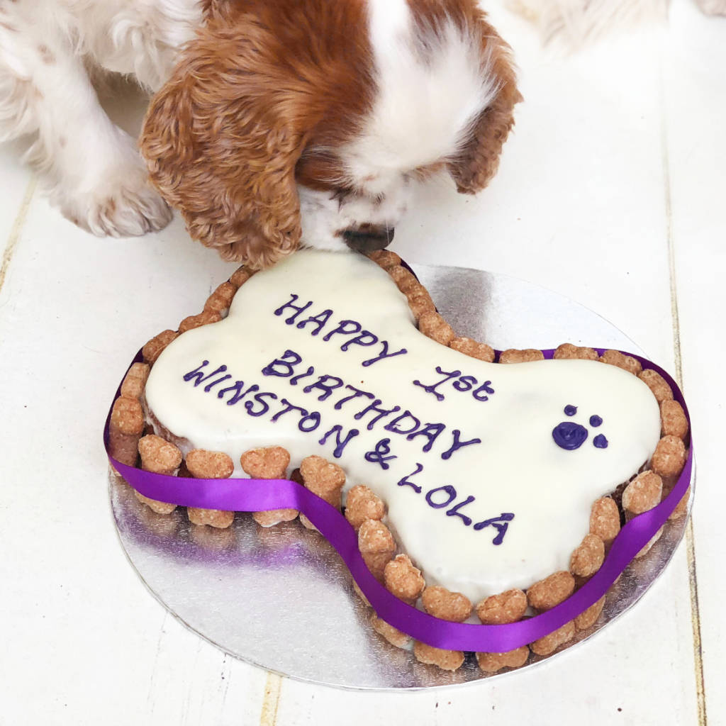 Mini torta di compleanno per cani: un idea veloce e simpatica per  festeggiare l amico a quattro zampe! Mixare crocette pe…