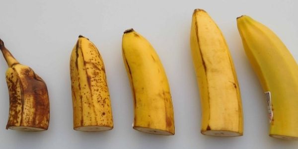 Banane: maturazione e tutto quello c’è da sapere