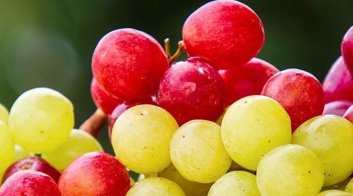 Uva: guida completa sull’uva da tavola e l’uva da vino