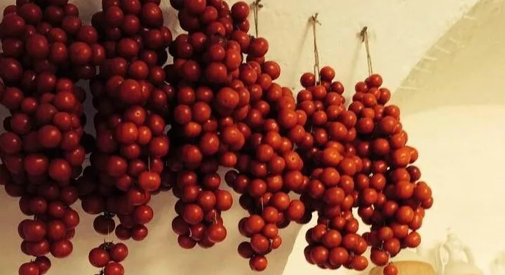 Nzerta, come si fanno e si conservano i pomodori appesi