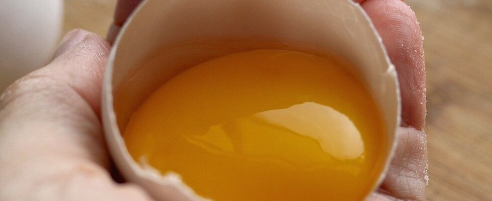 Come capire se le uova sono fresche?