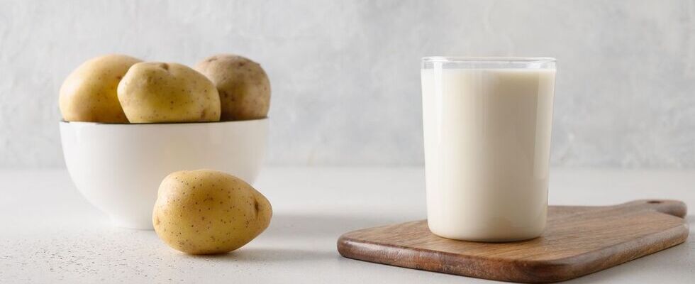 Latte di patate: la nuova bevanda vegetale di tendenza