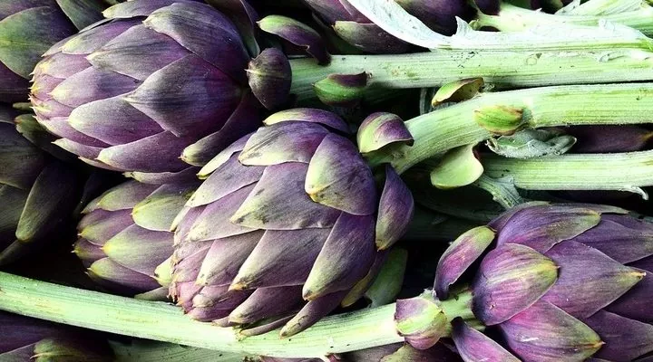 Tipi di carciofi: quanti ne esistono in cucina? Scopriamolo insieme!