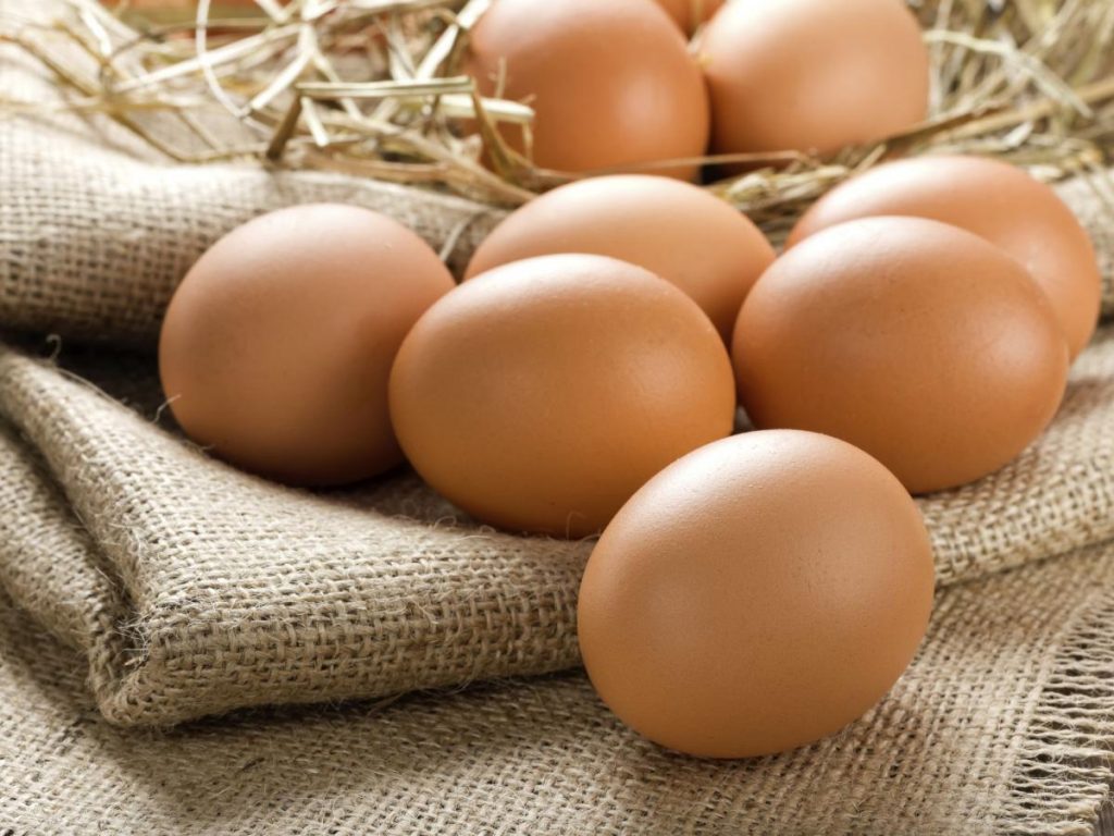 uova rischio salmonella