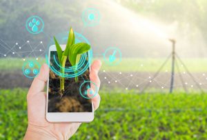 agricoltura digitalizzata