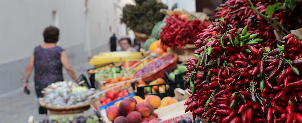 Frutta e verdura di settembre: cosa acquistare al supermercato