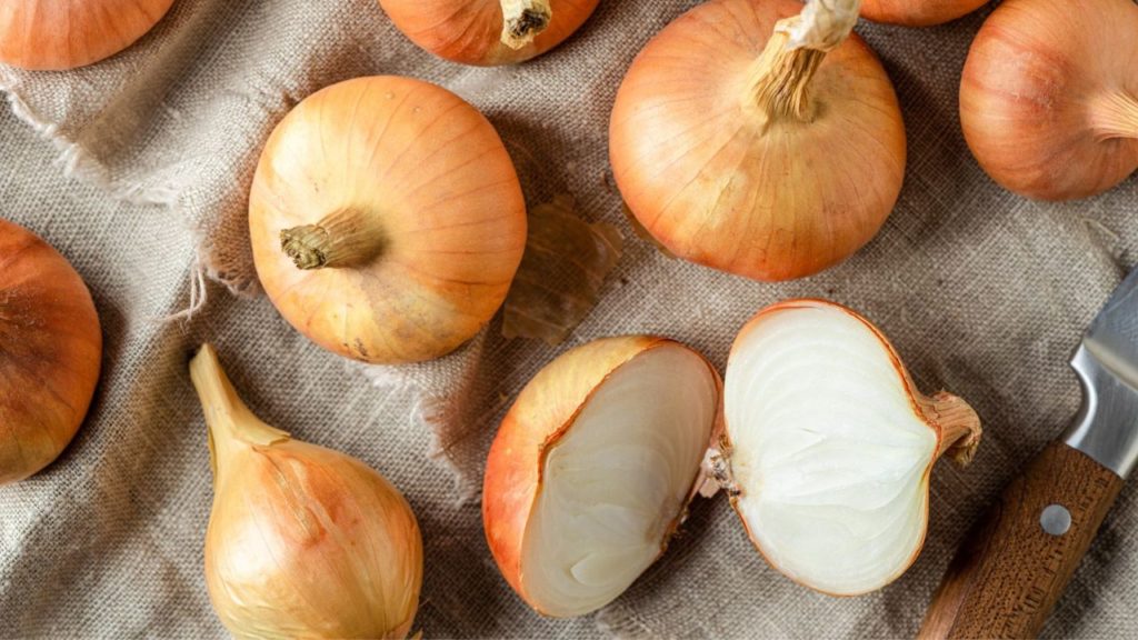 Le cipolle italiane: le varietà più famose e prelibate