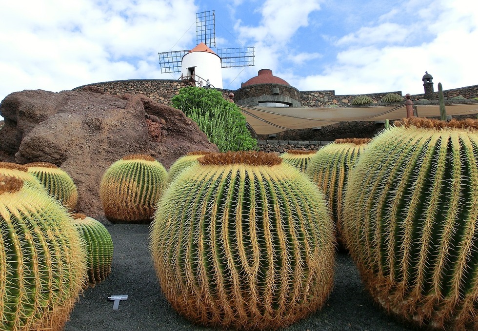 Vini di Lanzarote: le cantine più famose dell’isola