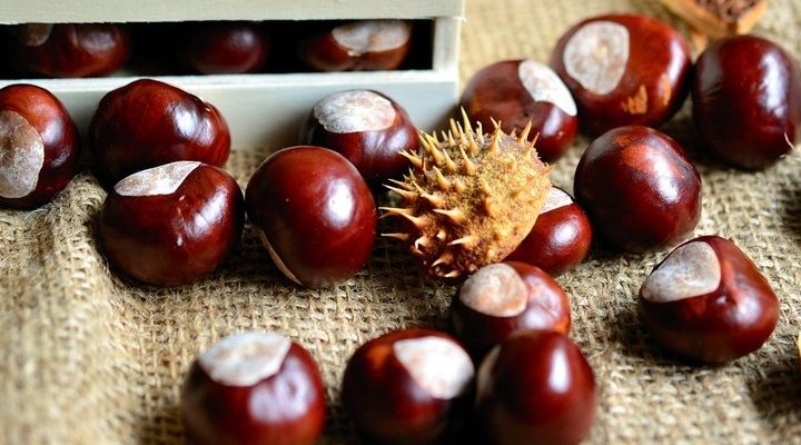 Castagne matte: sai cosa sono? Te lo diciamo noi