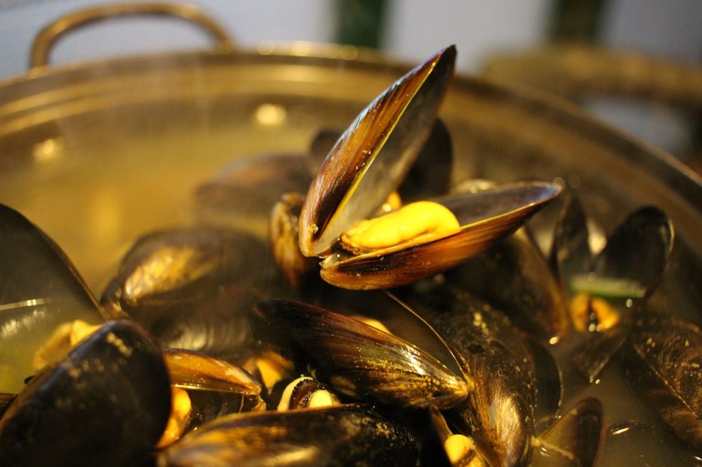 cozze_frutti di mare