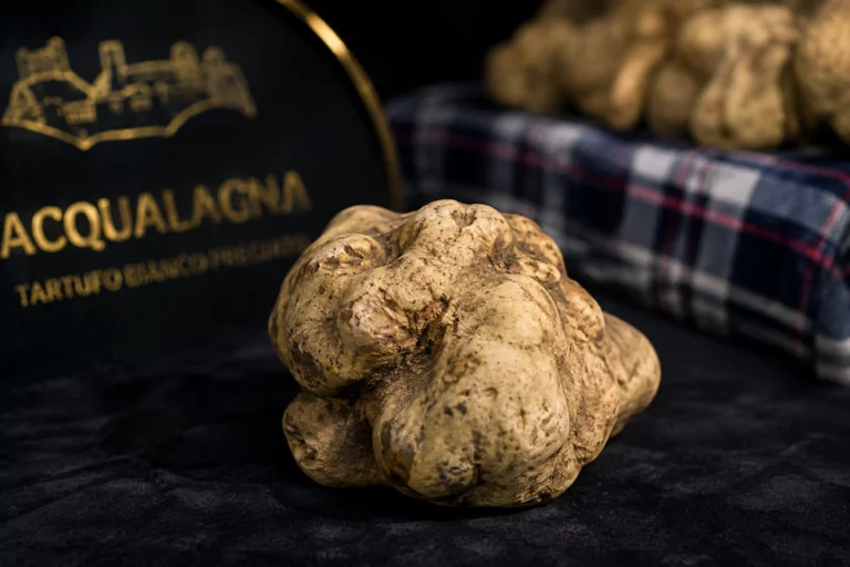 Acqualagna, il paese delle Marche dove il tartufo si trova tutto l’anno